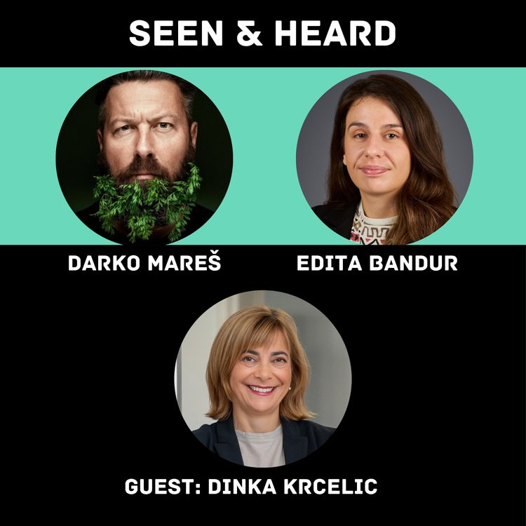 cover art for Communication skills for European markets: Dinka Krcelic