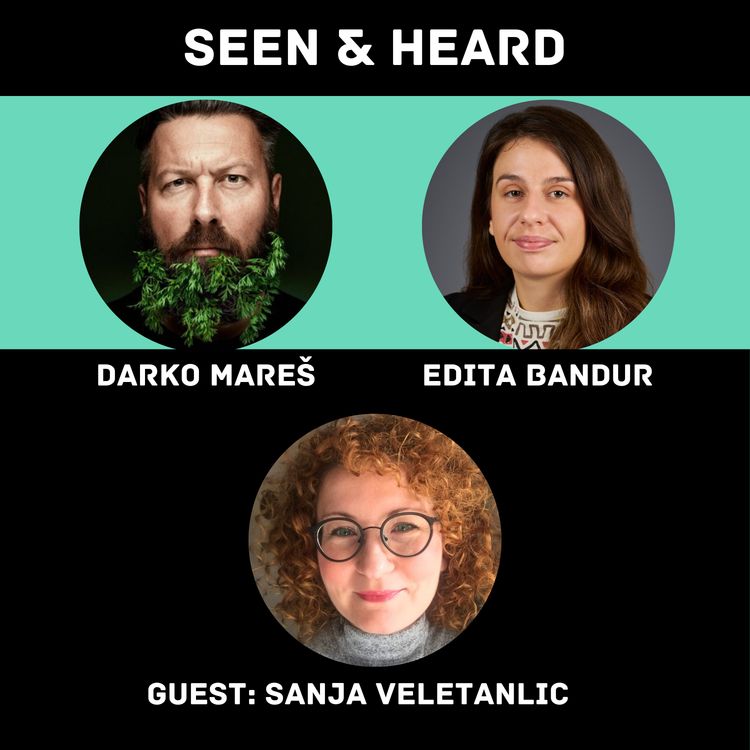 cover art for Work Smarter With Notion: Sanja Veletanlić