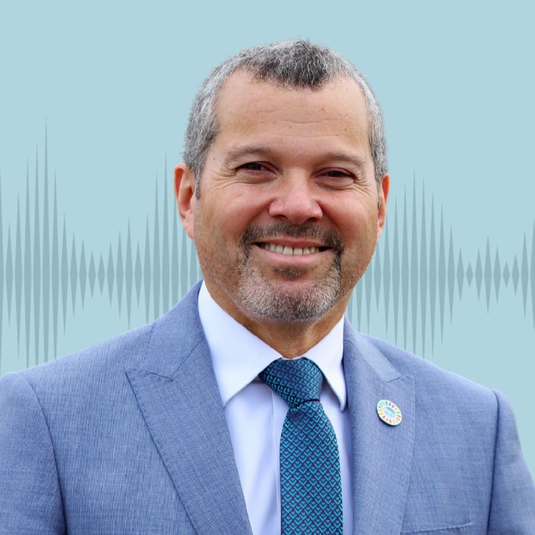 cover art for 'We haven't stopped': IMO chief Arsenio Dominguez reflects on controversial carbon talks