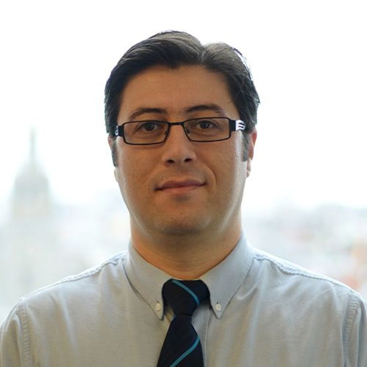 cover art for A call for a human-centric approach to ammonia-fuelled shipping