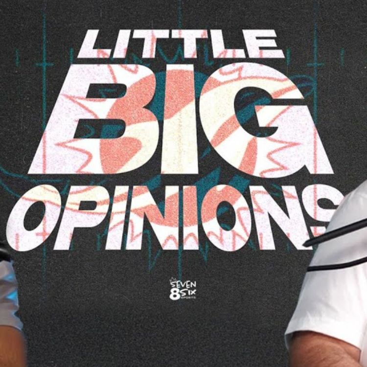 cover art for Miami Dolphins NFL Draft Preview 2025 