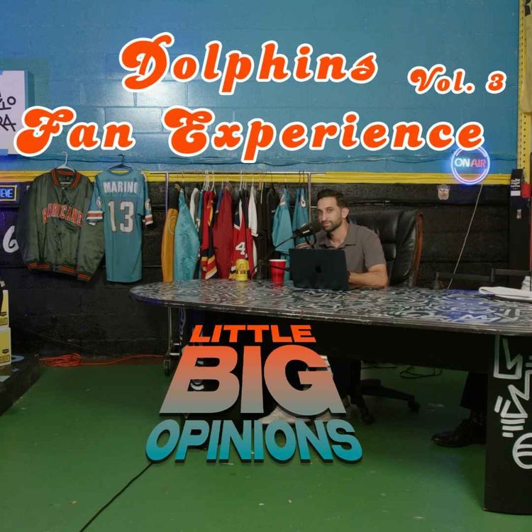 cover art for Jean Salas: Dolphins Fan Experience 
