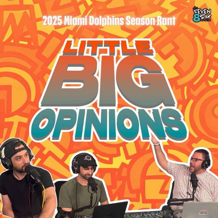 cover art for Dolphins 2025 Season RANT