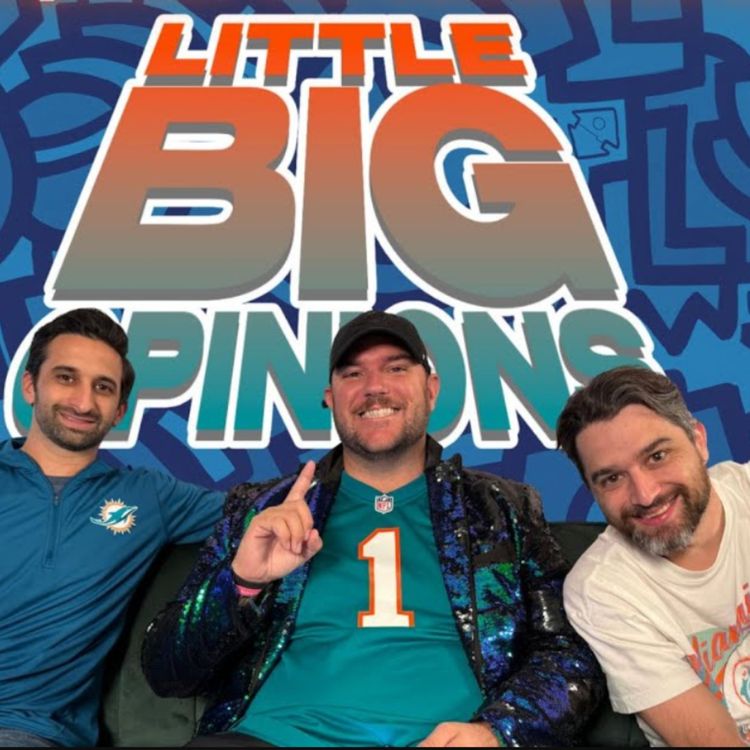 cover art for  Dolphins Front Office, Championship Round Recap & Super Bowl 