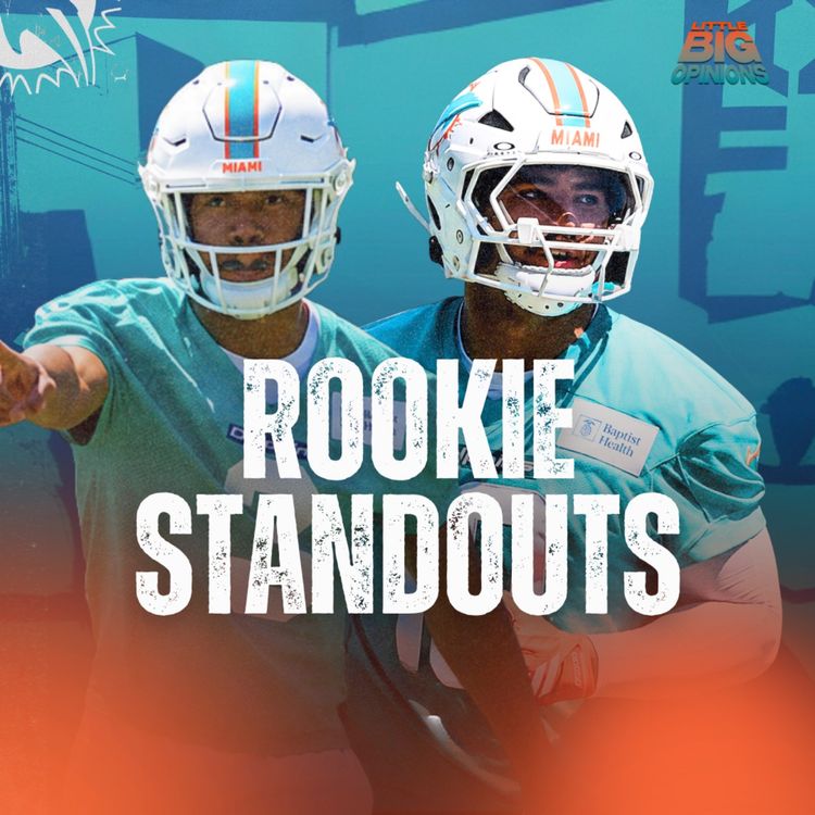 cover art for Miami Dolphins New Era?