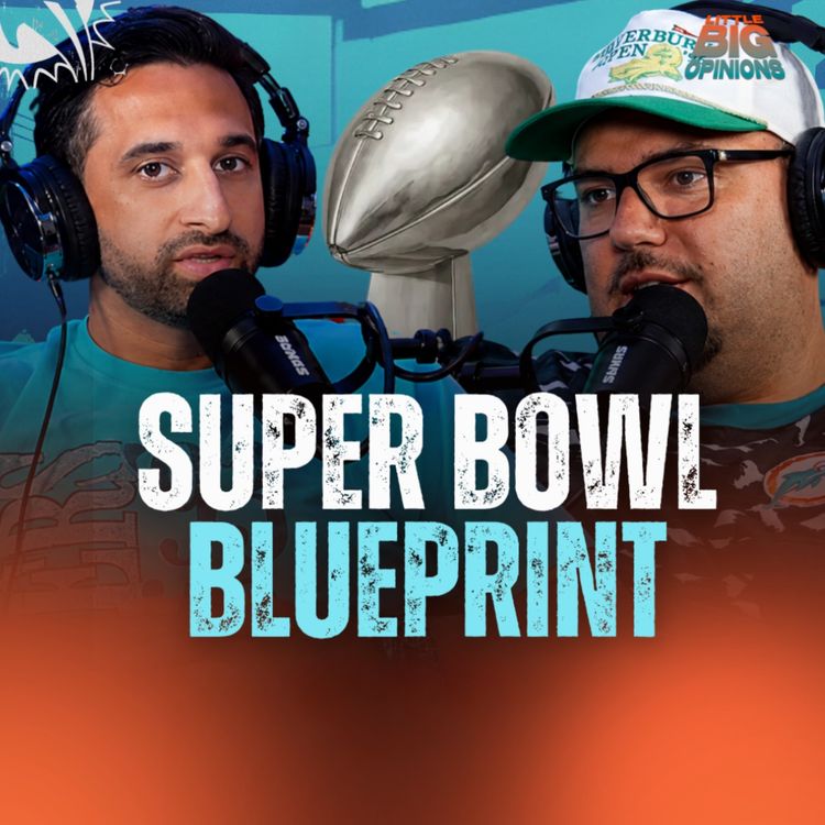 cover art for Are the Dolphins FINALLY Building a Super Bowl Team