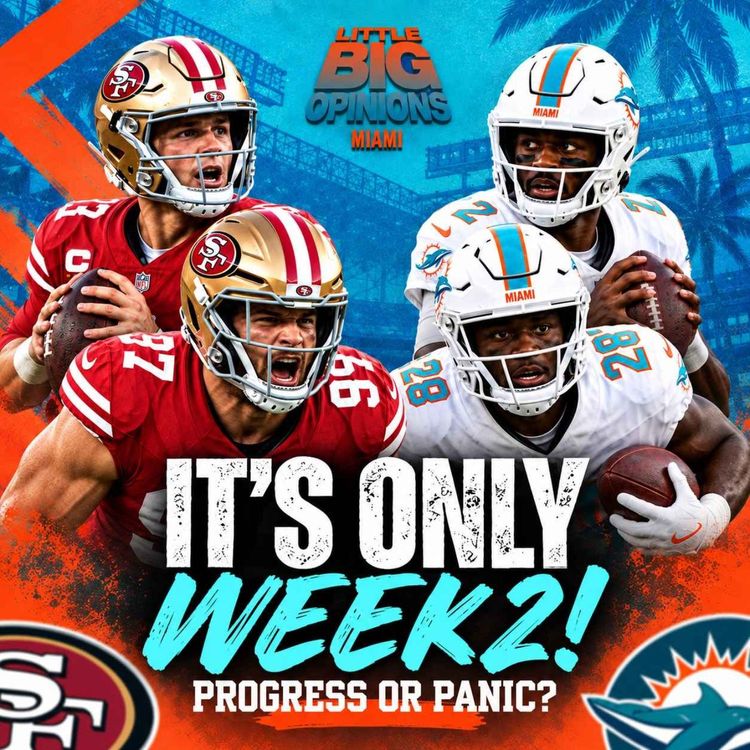 cover art for Dolphins HUMILIATED Again