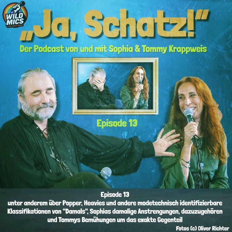 cover art for Episode 13