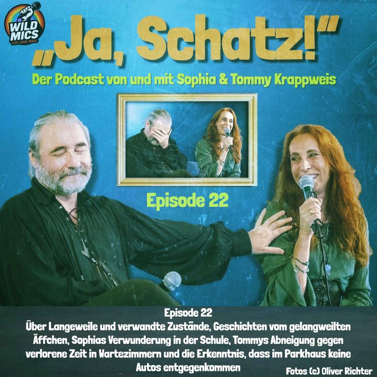 cover art for Episode 22