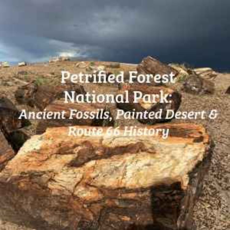 cover art for Petrified Forest National Park