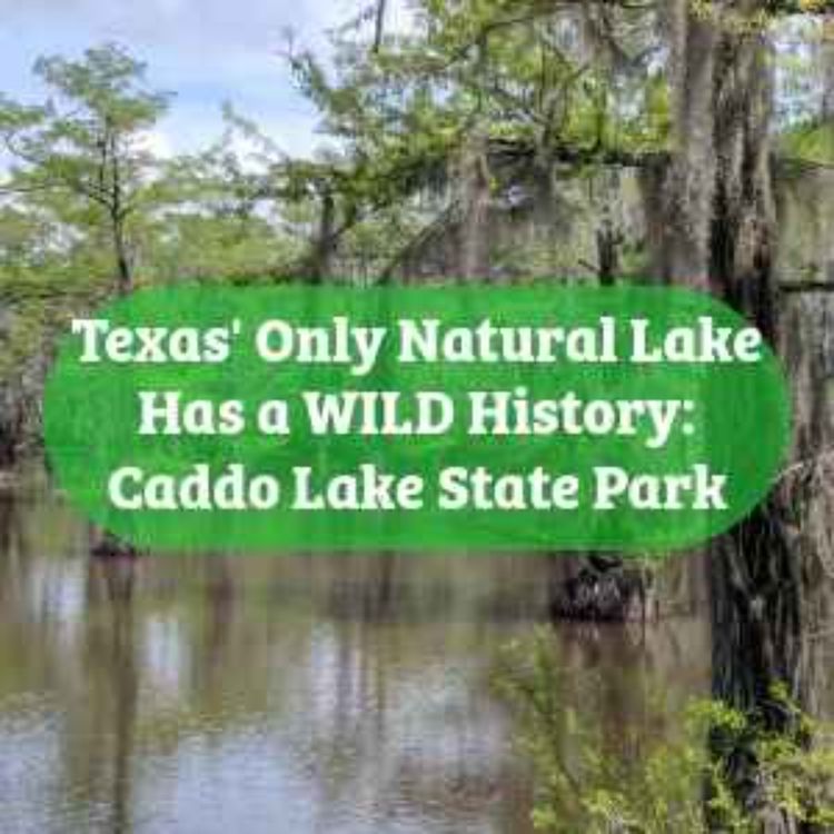cover art for Texas' Only Natural Lake Has a WILD History