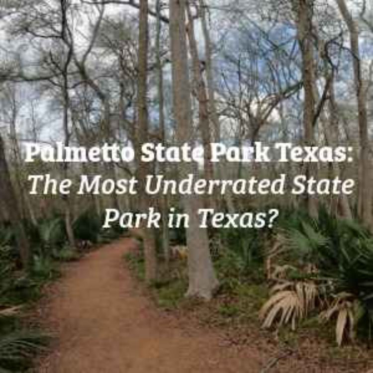 cover art for Palmetto State Park Texas: The Most Underrated State Park in Texas?