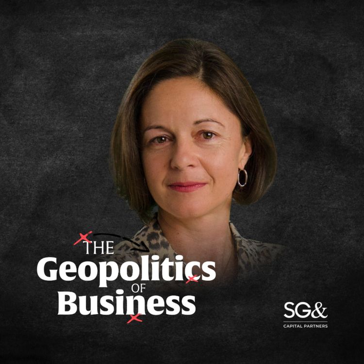 cover art for NATO, Private Capital & Innovation: Professor Dame Fiona Murray