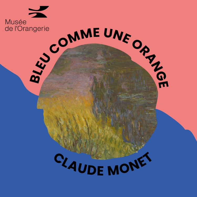 cover art for Le flou de Monet