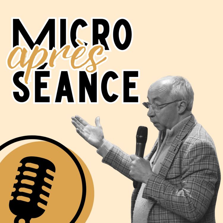 cover art for Daens (avec Stijn Coninx)