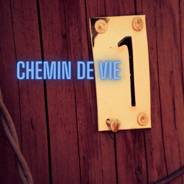 cover art for Chemin de Vie 1