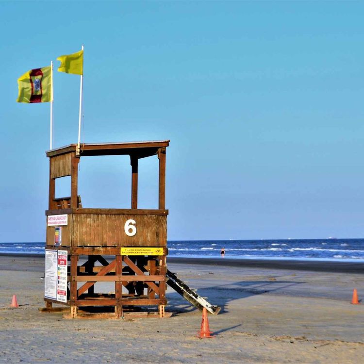 cover art for Chemin de vie 6