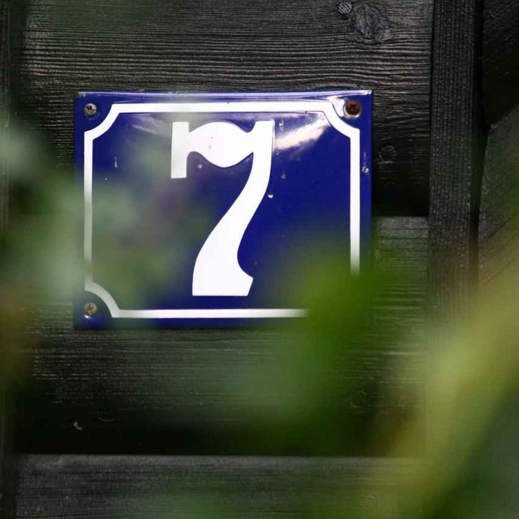 cover art for Chemin de vie 7