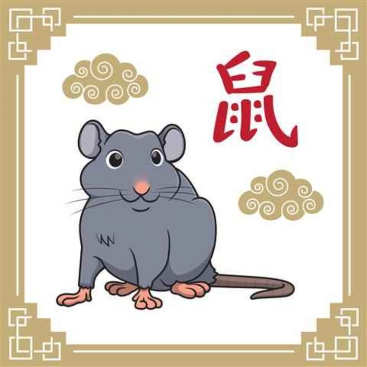 cover art for Le signe chinois du rat
