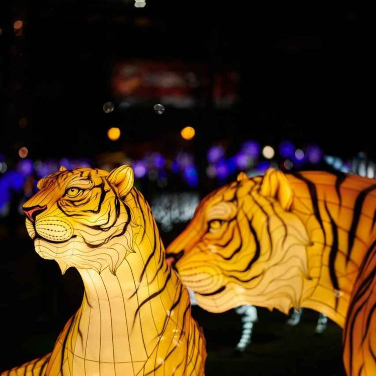 cover art for Le signe du Tigre