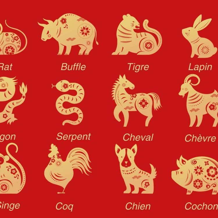 cover art for Présentation des signes chinois