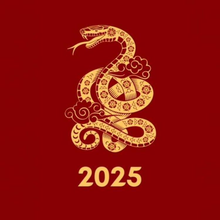 cover art for 2025 : L'année du Serpent de Bois