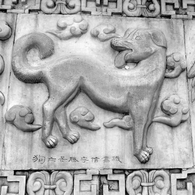 cover art for Le signe du Chien