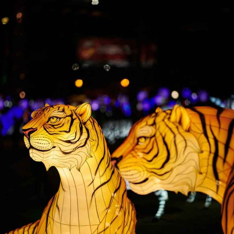 cover art for Le signe du Tigre et ses agents