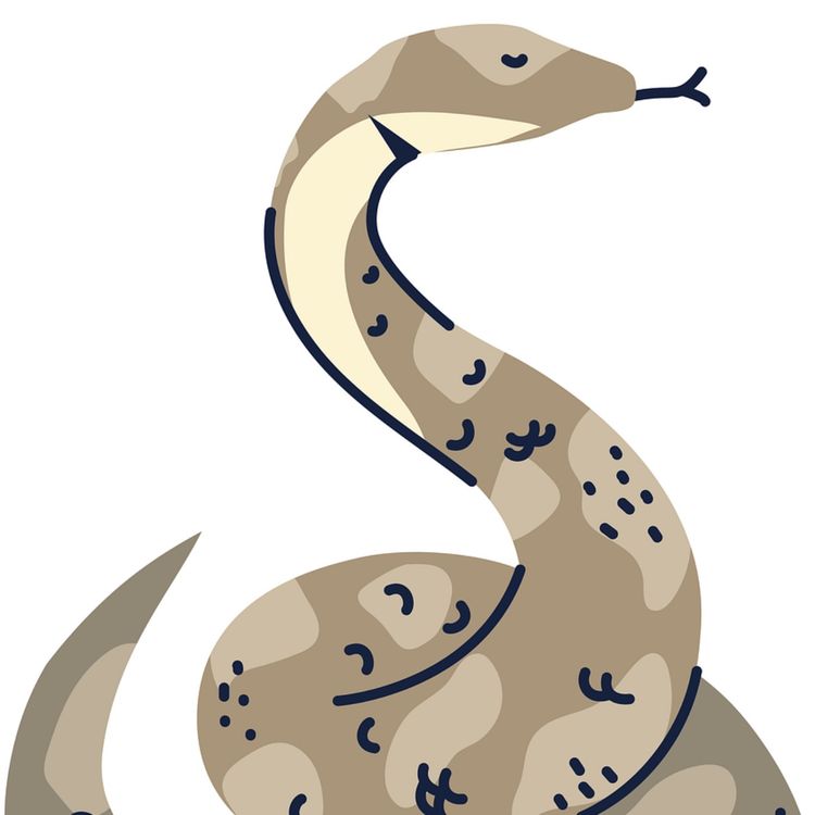 cover art for Le signe du serpent et ses agents