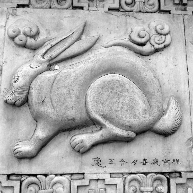 cover art for Le signe du lapin et ses signes occidentaux