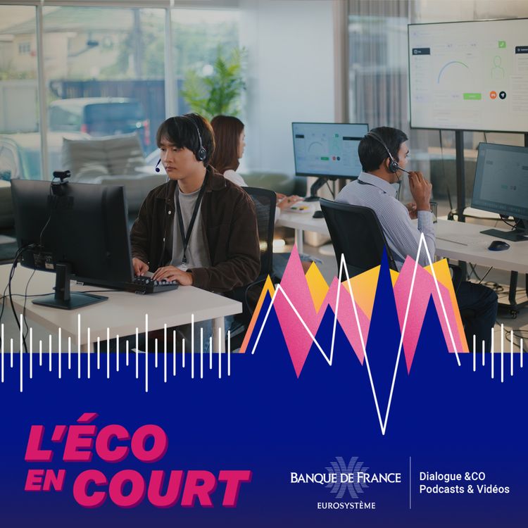 cover art for Fiché Banque de France : idées reçues, vraies solutions