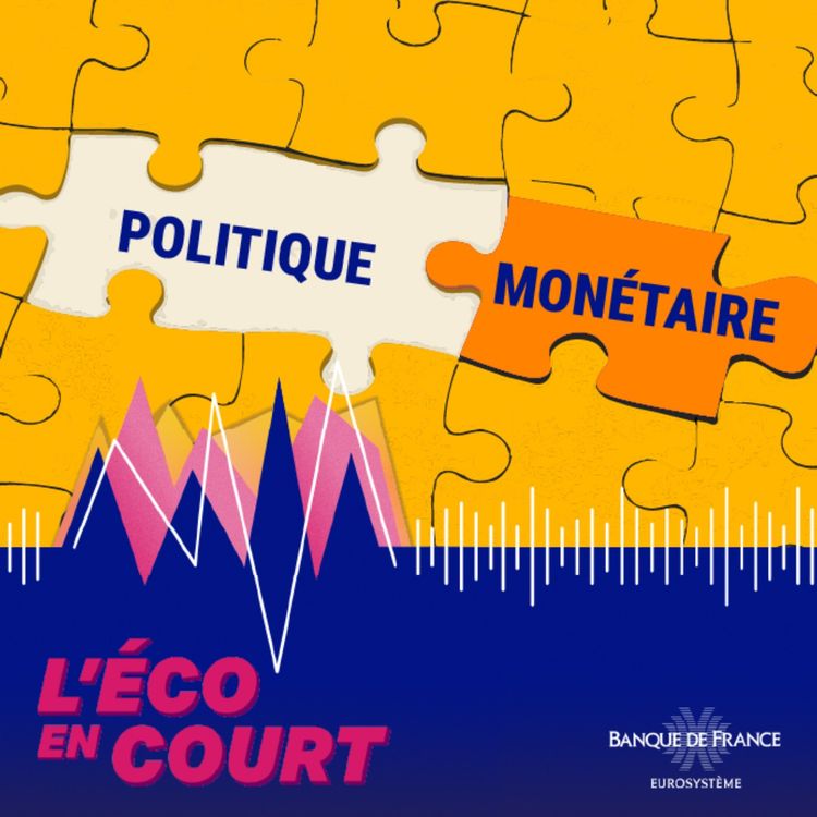 cover art for Indépendance des banques centrales : pourquoi, pour quoi ?