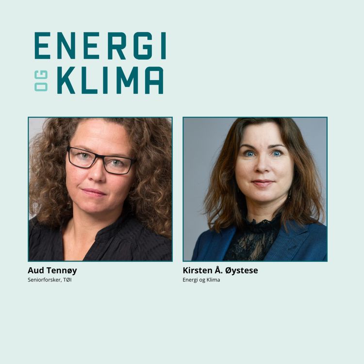 cover art for Må vi frakte IKEA-sofaen på sykkel?