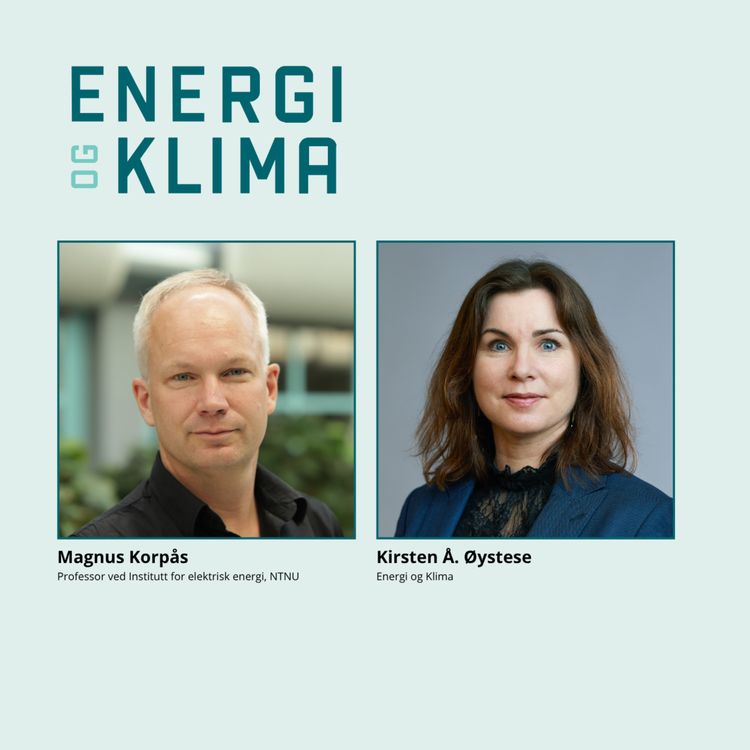 cover art for Er det krypto og kattevideoer vi skal bruke strøm på?