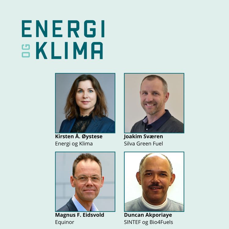 cover art for Norge skulle bli ledende på biodrivstoff – hva skjedde? 