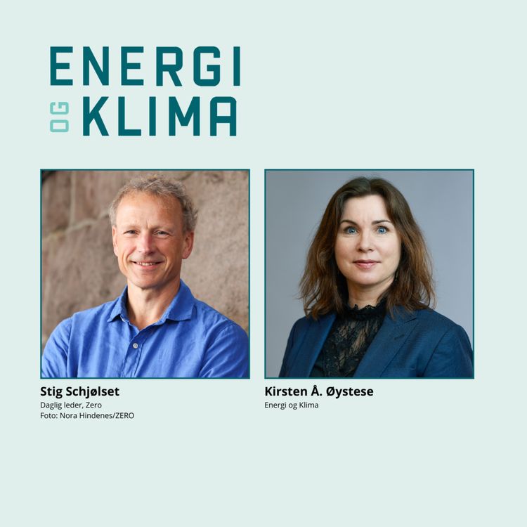 cover art for – Vi har feilet for lite i klimapolitikken