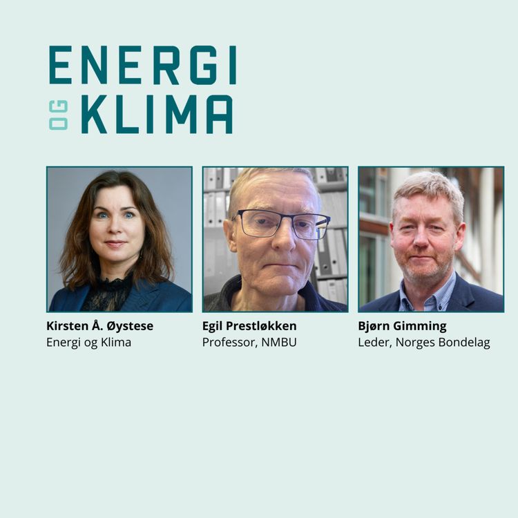 cover art for Metanhemmer-stans og klimakutt i jordbruket 