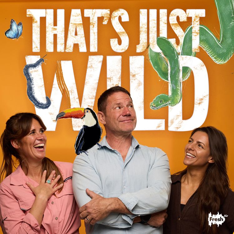 cover art for Q&A: Parasites, Giraffe Necks, and Shark Attacks
