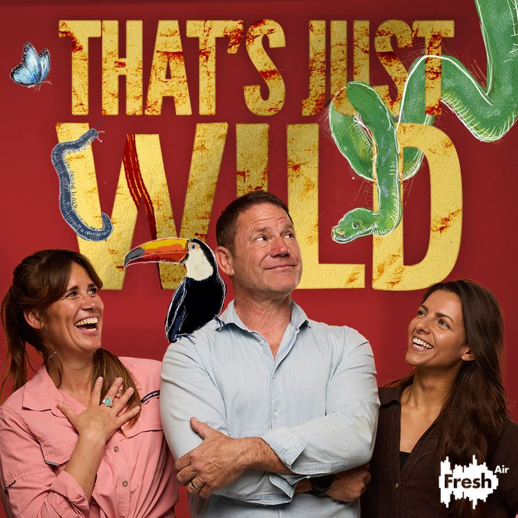 cover art for Special Preview: Hannah Stitful - How I got to be a Wildlife Filmmaker