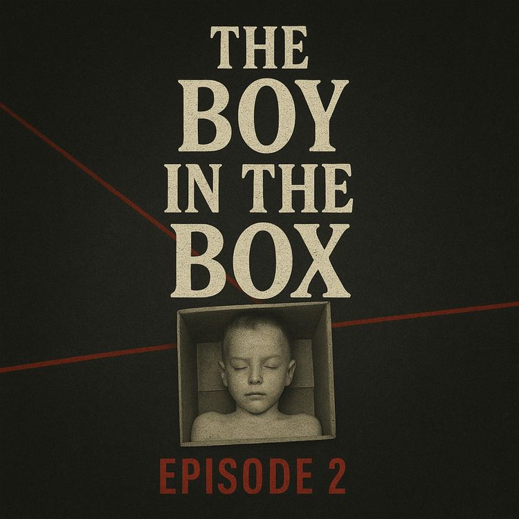cover art for The Boy in the Box