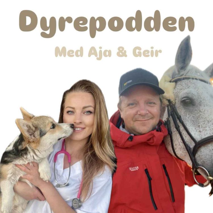 cover art for Flått - sykdommer og forebygging