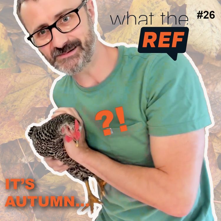 cover art for What the REF are we expecting this Autumn?!