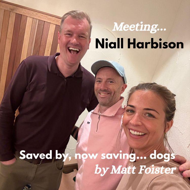 cover art for Meeting... Niall Harbison