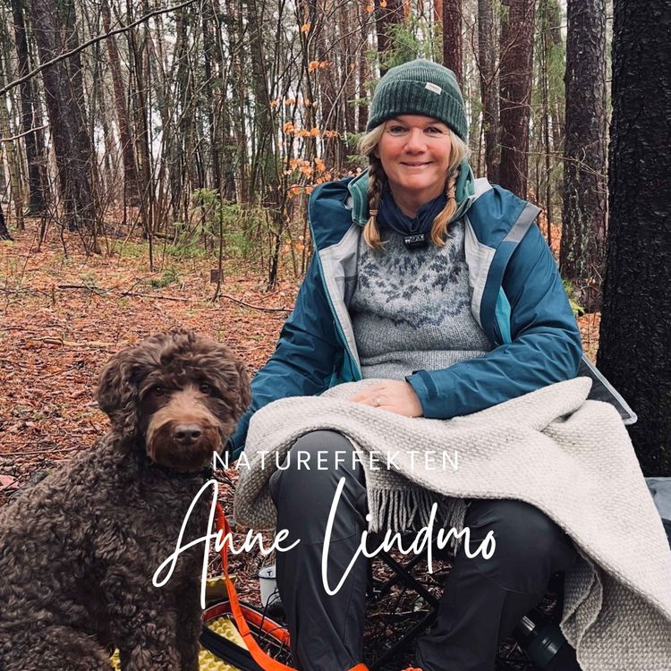 cover art for Anne Lindmo