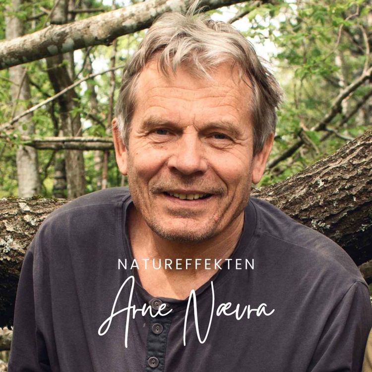 cover art for Arne Nævra