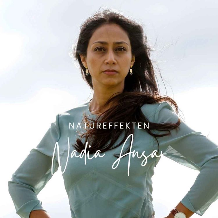 cover art for Nadia Ansar