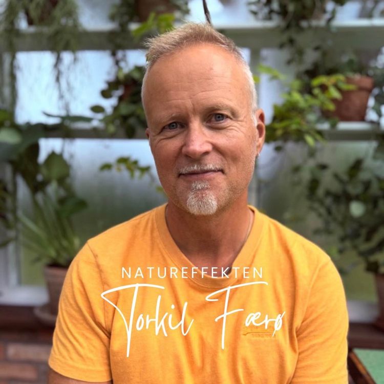 cover art for Torkil Færø