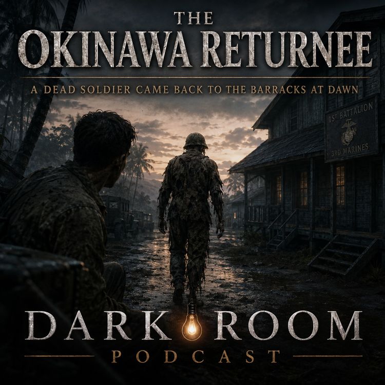 cover art for The Okinawa Returnee