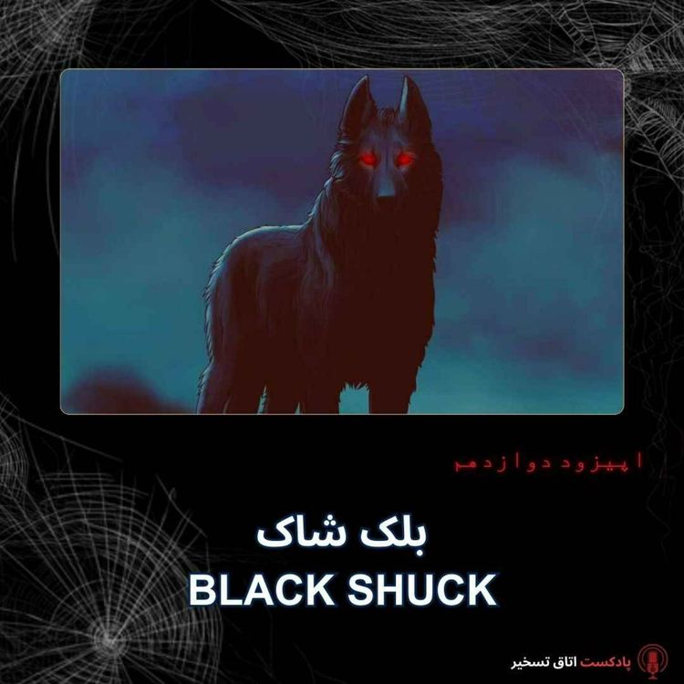 cover art for بلک شاک