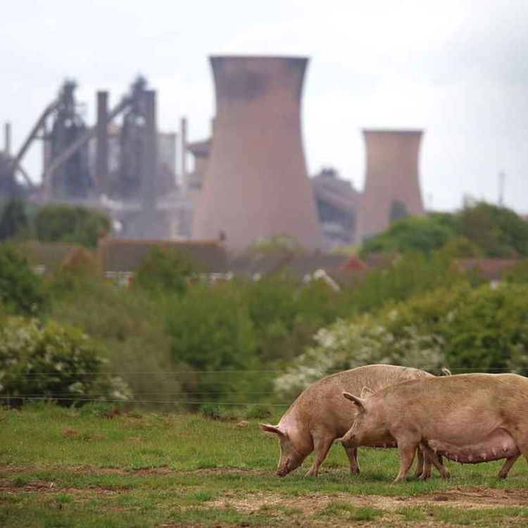 cover art for How to revive industrial Britain: SDP leader on British steel, the entitlement state & a Farage pact